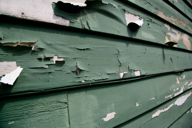 Best Moving and Downsizing Cleanouts  in Pelham Manor, NY