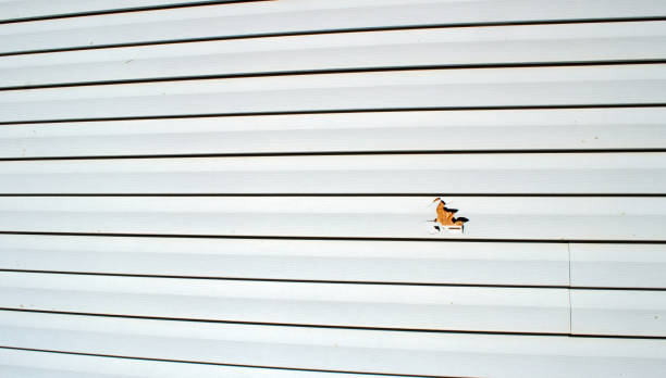 Best Shed Removal  in Pelham Manor, NY